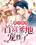 萌宝助攻的电视剧