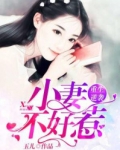 重生商女权妻不好惹