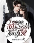亿万盛宠:帝国总裁霸道爱妻小说