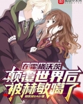 在霍格沃茨颠覆世界后被赫敏噶了