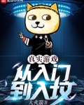 真实游戏:从入门到入坟 小说
