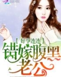 小说好孕连连总裁爹地霸道宠