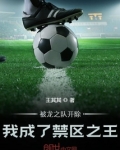 被龙之队开除,我成了禁区之王