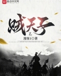 贼公子