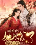 新婚夜她烧了摄政王府网盘