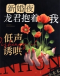 新婚夜,龙君抱着我低声诱哄小说
