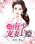 入骨暖婚：南少宠妻上瘾