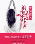 狼性总裁娇宠妻免费阅读全文