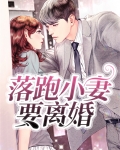 落跑娇妻:离婚?休想