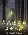 平凡的魔术师小说全集