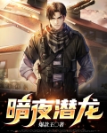 暗夜潜龙 TXT