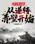 家兄曹孟德,从逆转赤壁开始