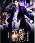 至尊奶爸凌云