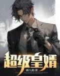 超级皇婿李辰赵晓婉小说
