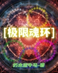 极限魂环搭配