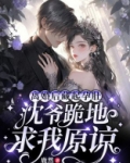 离婚后沈总追妻火葬场全文免费