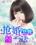 新妻上任抢婚总裁一送一TXT免费阅读