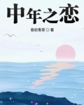中年之恋
