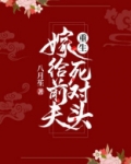 重生嫁给前夫死对头
