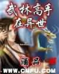 武林高手在异界的小说