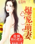 捡到钻石老公
