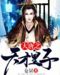 大唐之天才皇子
