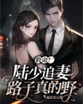 陆少追妻36计免费阅读